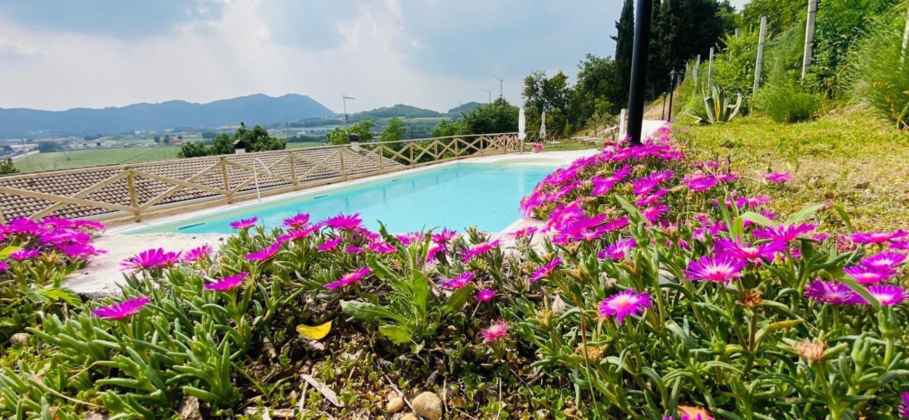 Villa Poggio Ulivo Pool-Apartments Rivoli Veronese Экстерьер фото